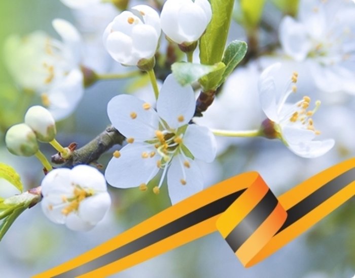 График работы в майские праздники